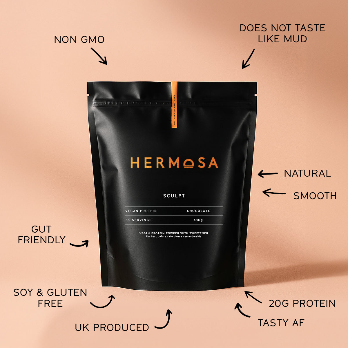 VEGAN PROTEIN POWDER 480G POUCH