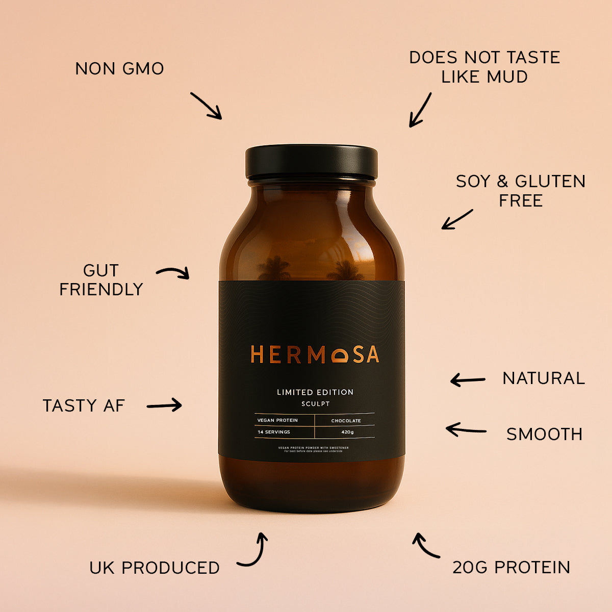VEGAN PROTEIN POWDER 420G JAR