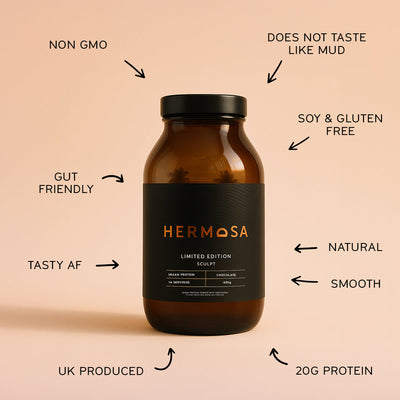 VEGAN PROTEIN POWDER 420G JAR