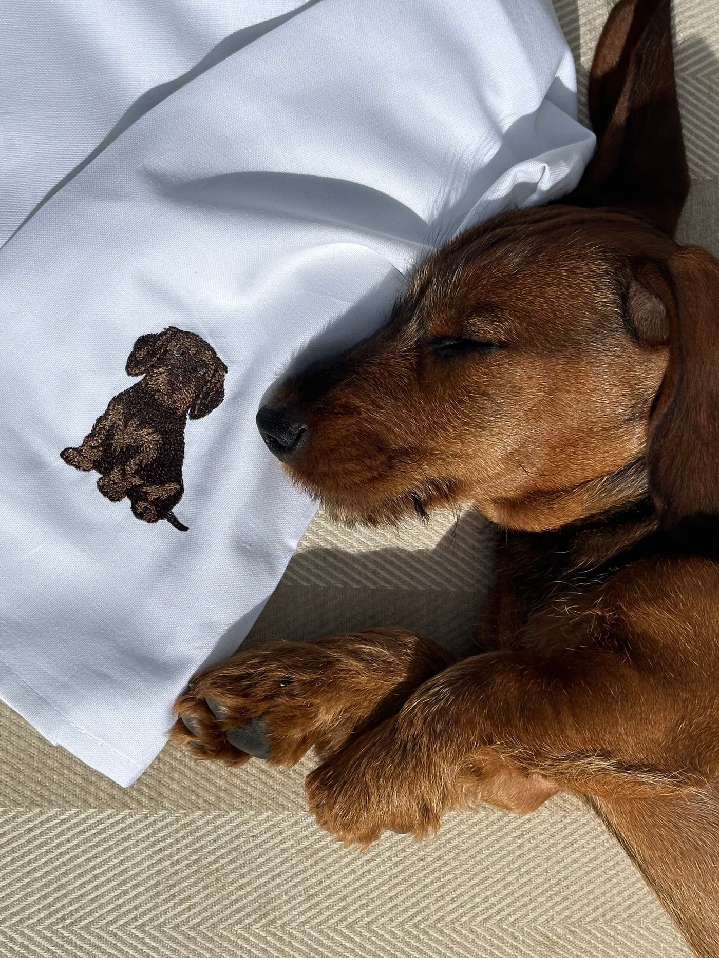 The Dachshund Tea Towel