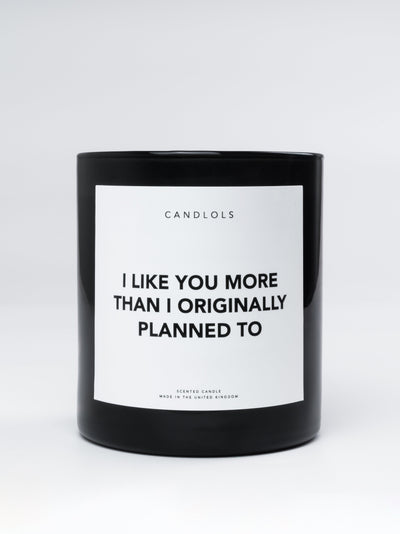 I Like You More Than I Originally Planned To