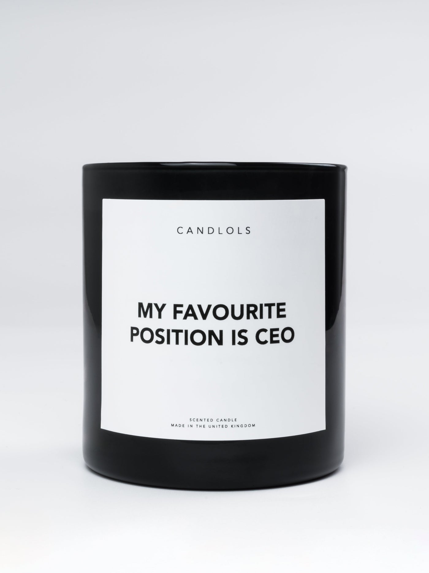 My Favourite Position Is CEO