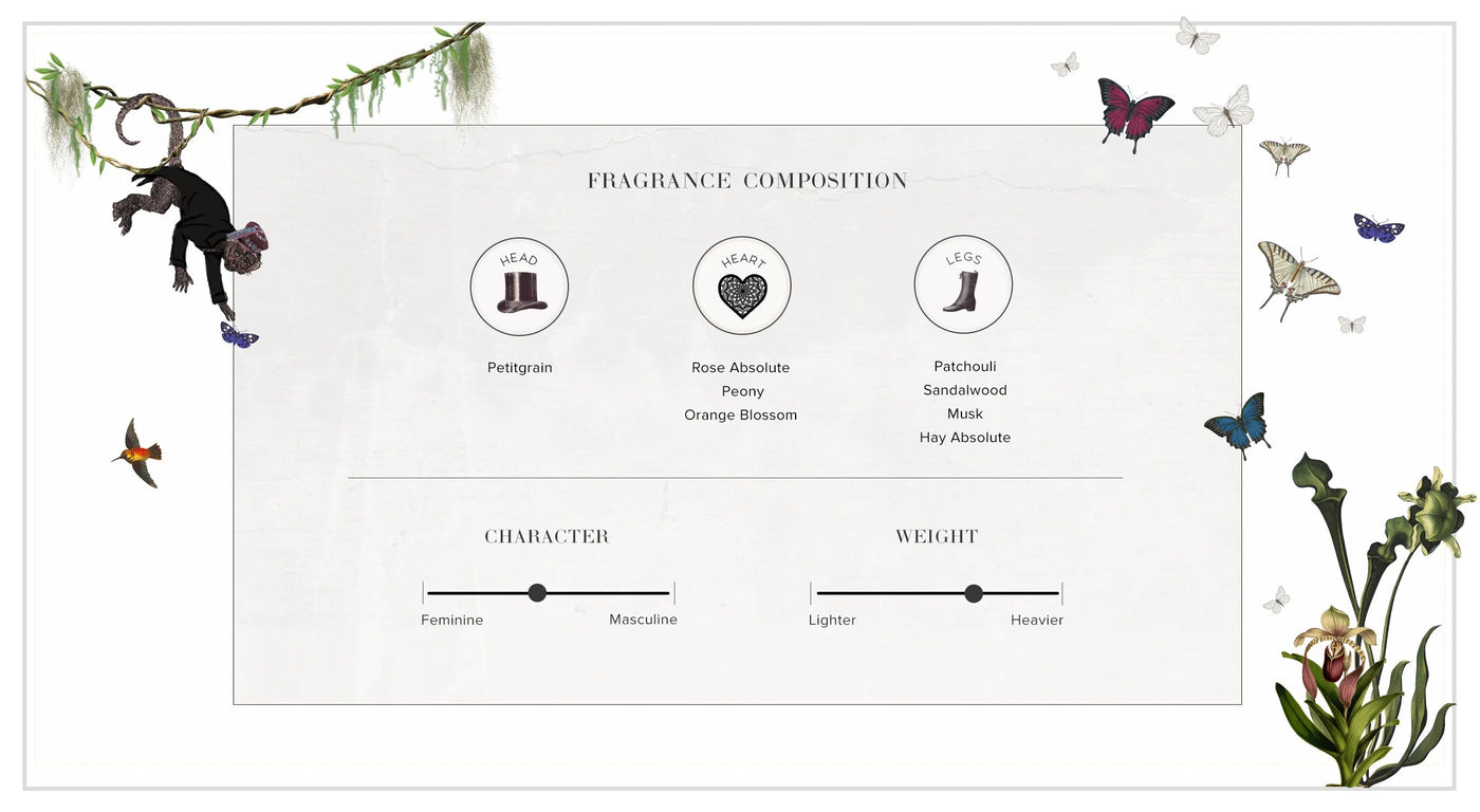 Ophrys | Eau de Parfum 50ml