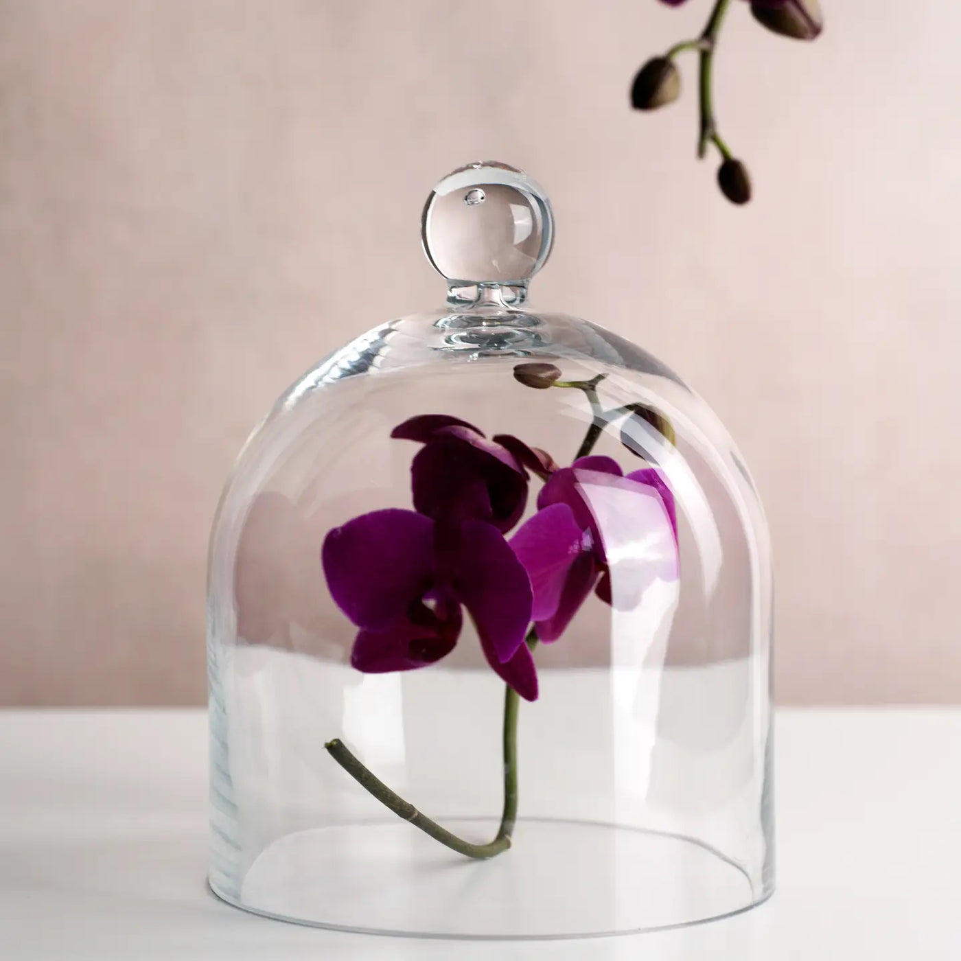 Vintage French Inspired Glass Cloche Jar