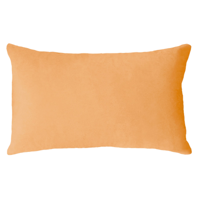 Scorpio Season Needlepoint Cushion