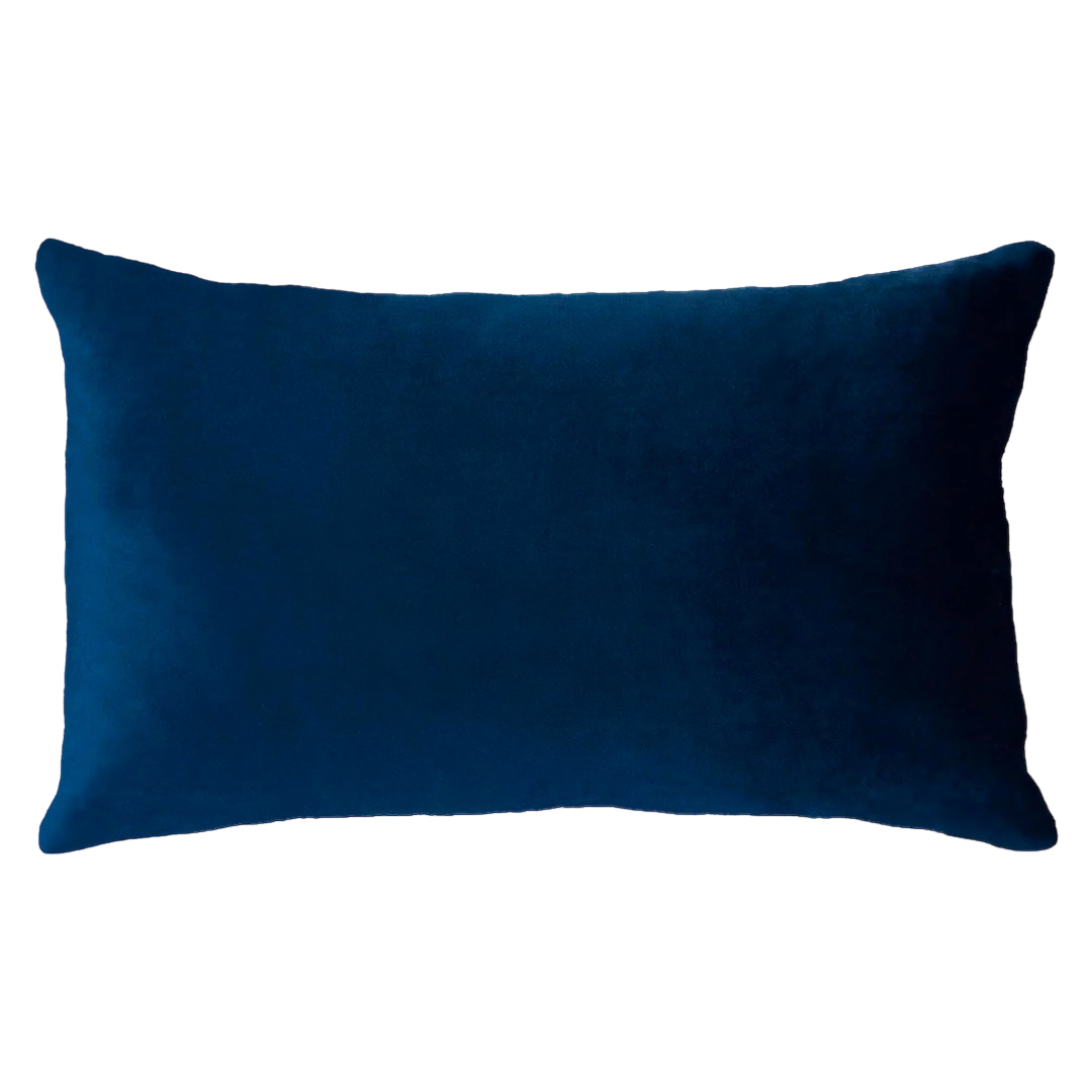 Netflix & Chill Needlepoint Cushion